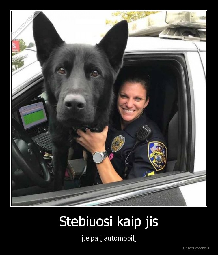 Stebiuosi kaip jis - įtelpa į automobilį. 