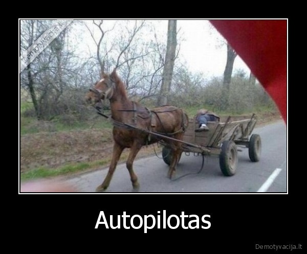 Autopilotas. 