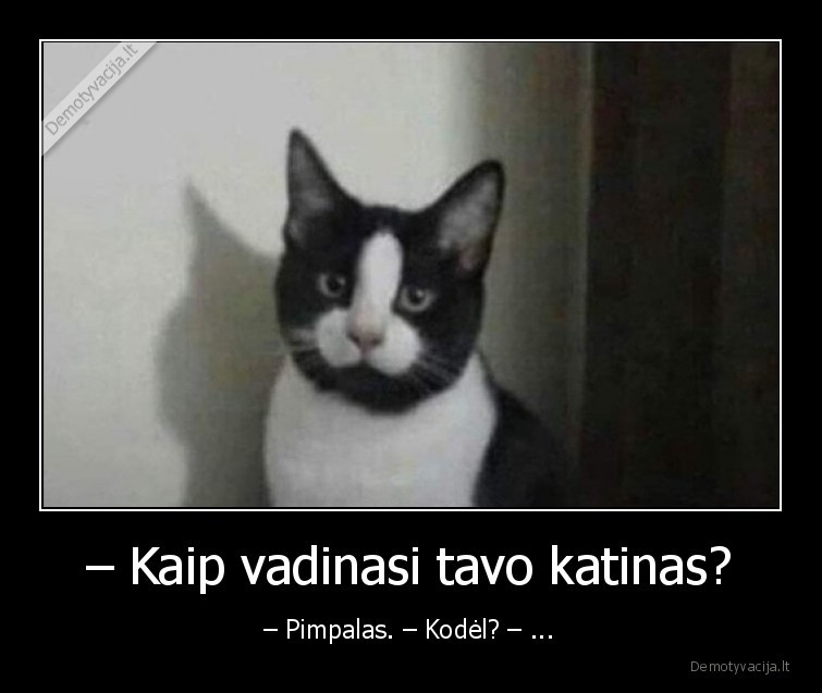 – Kaip vadinasi tavo katinas? - – Pimpalas. – Kodėl? – .... 